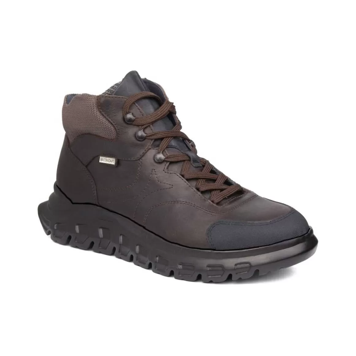 Clearance 56301 | Squalo 2 Marron Negro Hombre Botines | Resistentes Al Agua