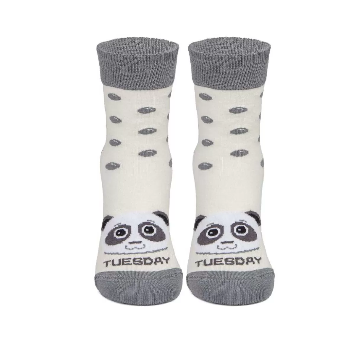 Best 12 | Tuesday Panda Beig Accesorios | Accesorios